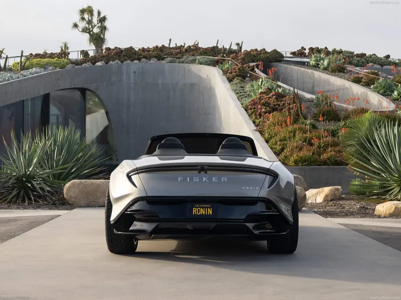 Ronin rear